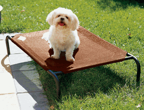 Small Pet Bed Terracotta Color 34.75X21.5"X8""
