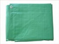 10' X 10' CANOPY REPLACEMENT COVER(GREEN)